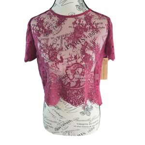 Lizard Thicket Burgundy Lace Crop Top